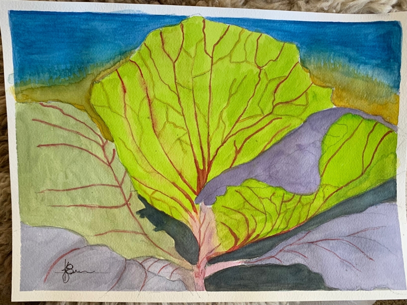 Purple Cabbage at Sunrise by artist K June Baker